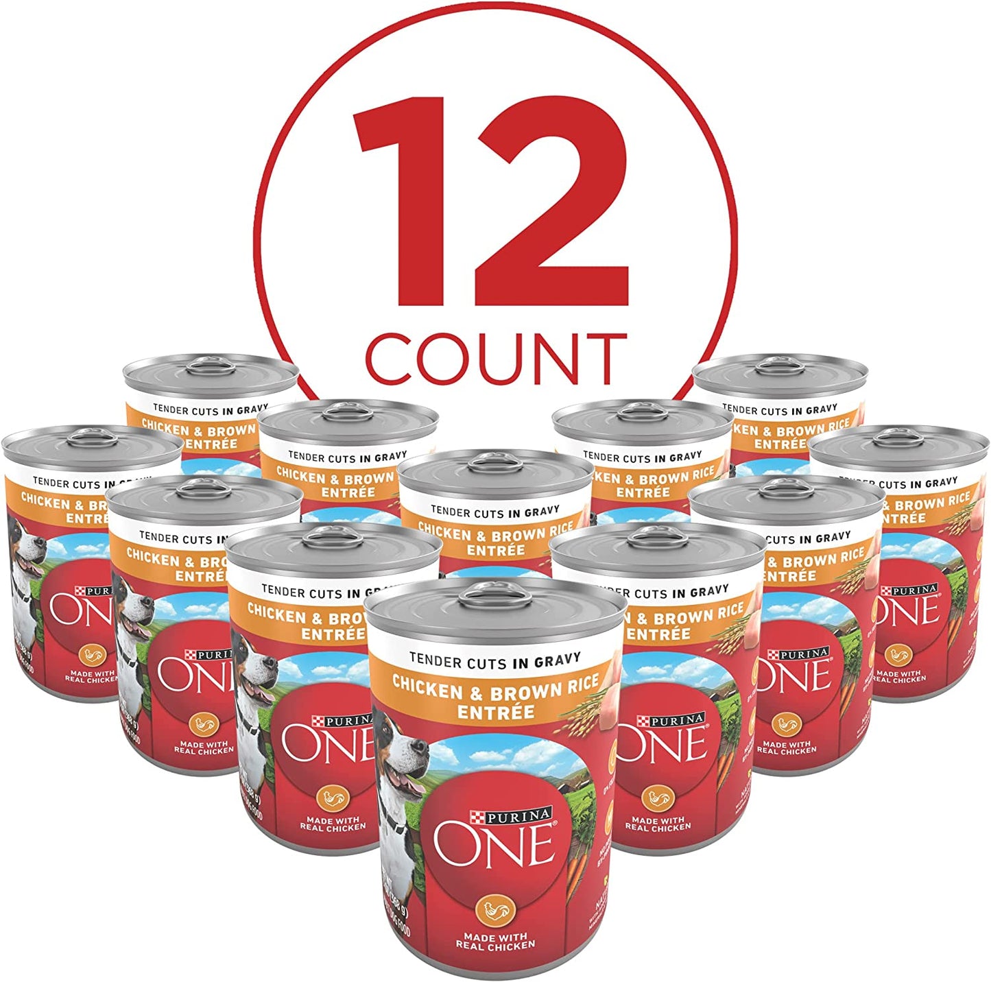 Purina ONE Tender Cuts in Wet Dog Food Gravy Chicken and Brown Rice Entree - (Pack of 12) 13 Oz. Cans