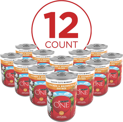 Purina ONE Tender Cuts in Wet Dog Food Gravy Chicken and Brown Rice Entree - (Pack of 12) 13 Oz. Cans