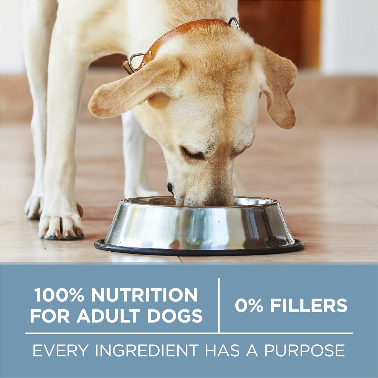 plus Joint Health Formula Natural with Added Vitamins, Minerals and Nutrients Dry Dog Food