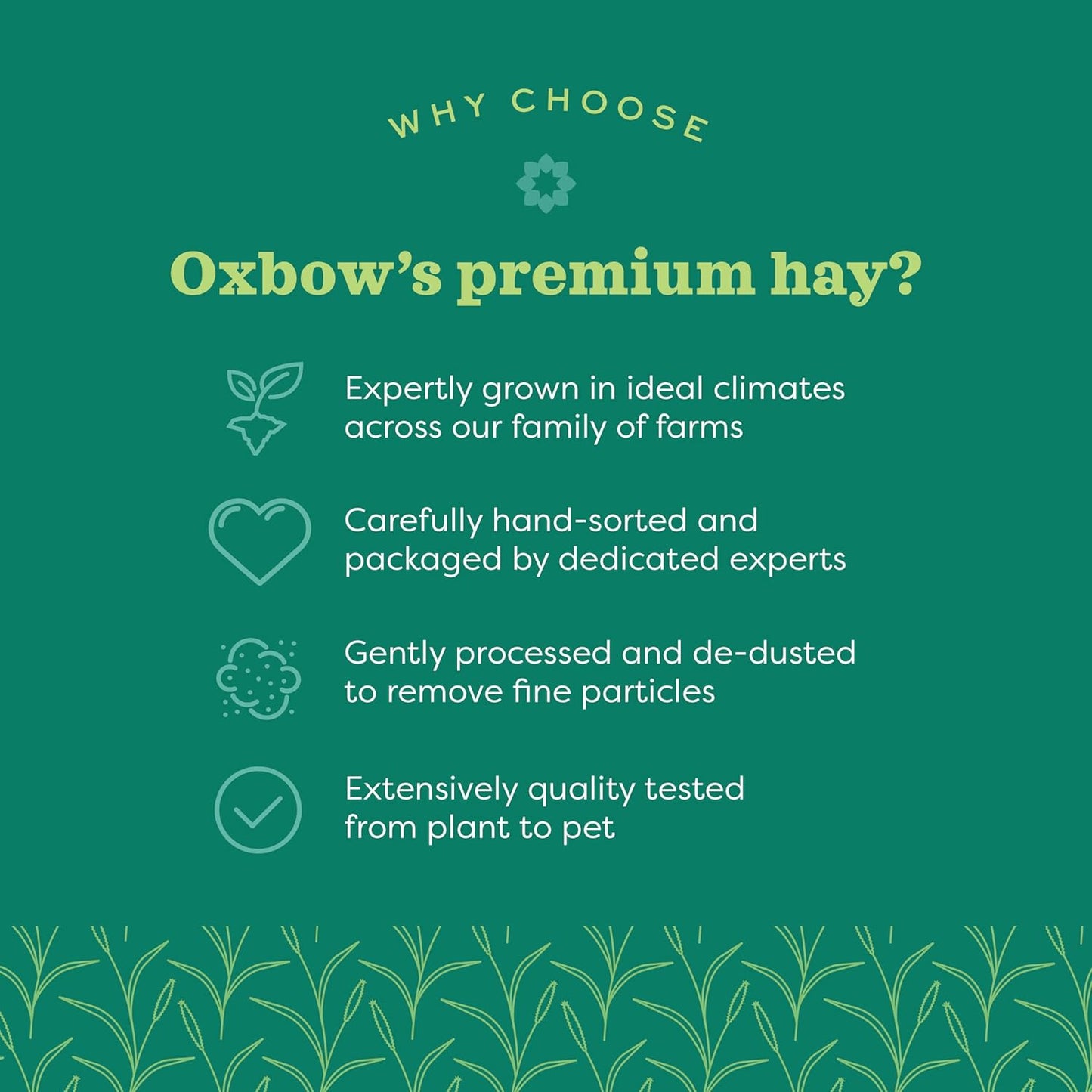 Oxbow Animal Health Western Timothy Hay - All Natural Hay for Rabbits, Guinea Pigs, Chinchillas, Hamsters & Gerbils