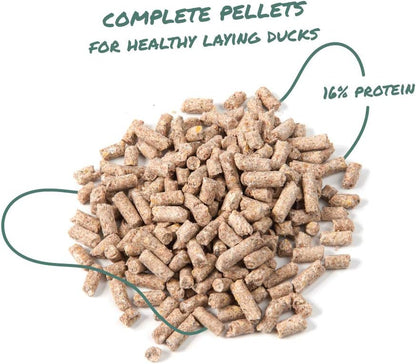 Manna Pro Duck Layer Pellet, High Protein for Increased Egg Production, Formulated with Probiotics to Support Healthy Digestion