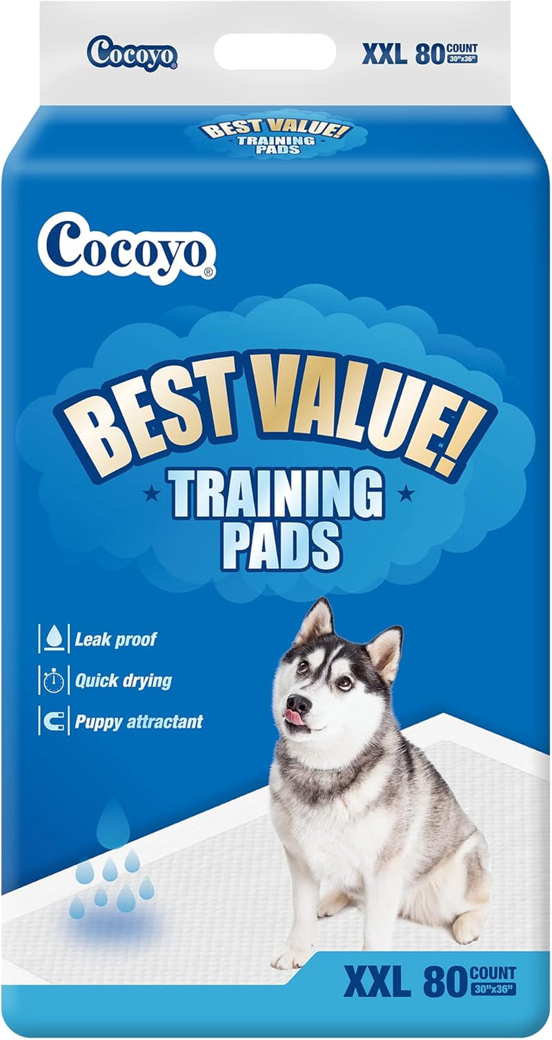 COCOYO Best Value Training Pads, 30"X36", XXL - 80 Count,White