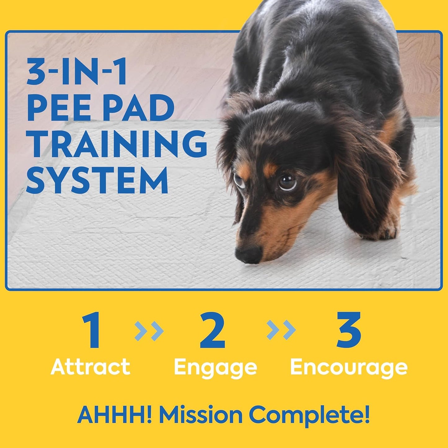 Petcare XXL Dog Training Pads, Heavy Duty Dog Pee Pads XXL, Jumbo Puppy Pads, Wee Wee Pads for Dogs and Puppies, Dog House Training, Leak Proof, Safe, Disposable, 26"X30", 30 Ct