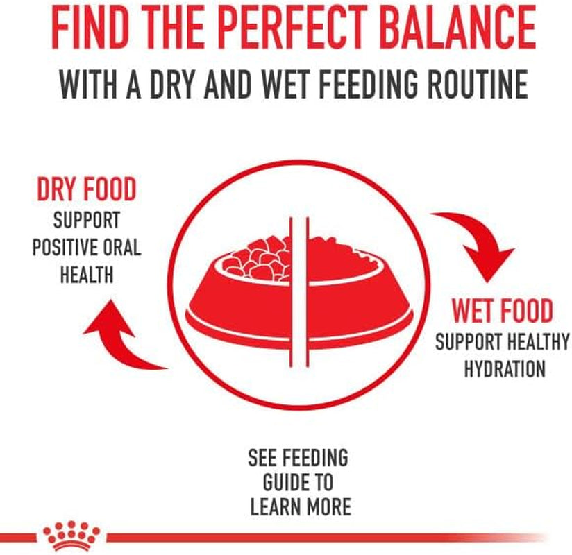 Royal Canin Small Adult Wet Dog Food