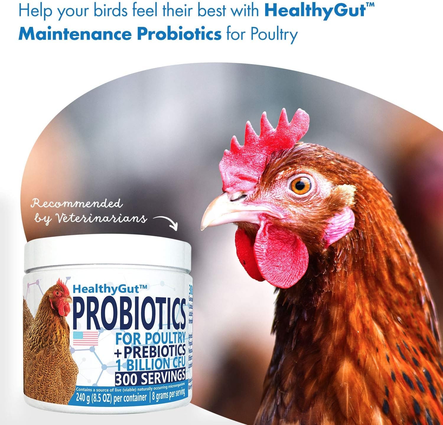 Healthygut Probiotics for Chickens & Poultry, All-Natural Digestive System Dietary Supplement (30 Scoops)