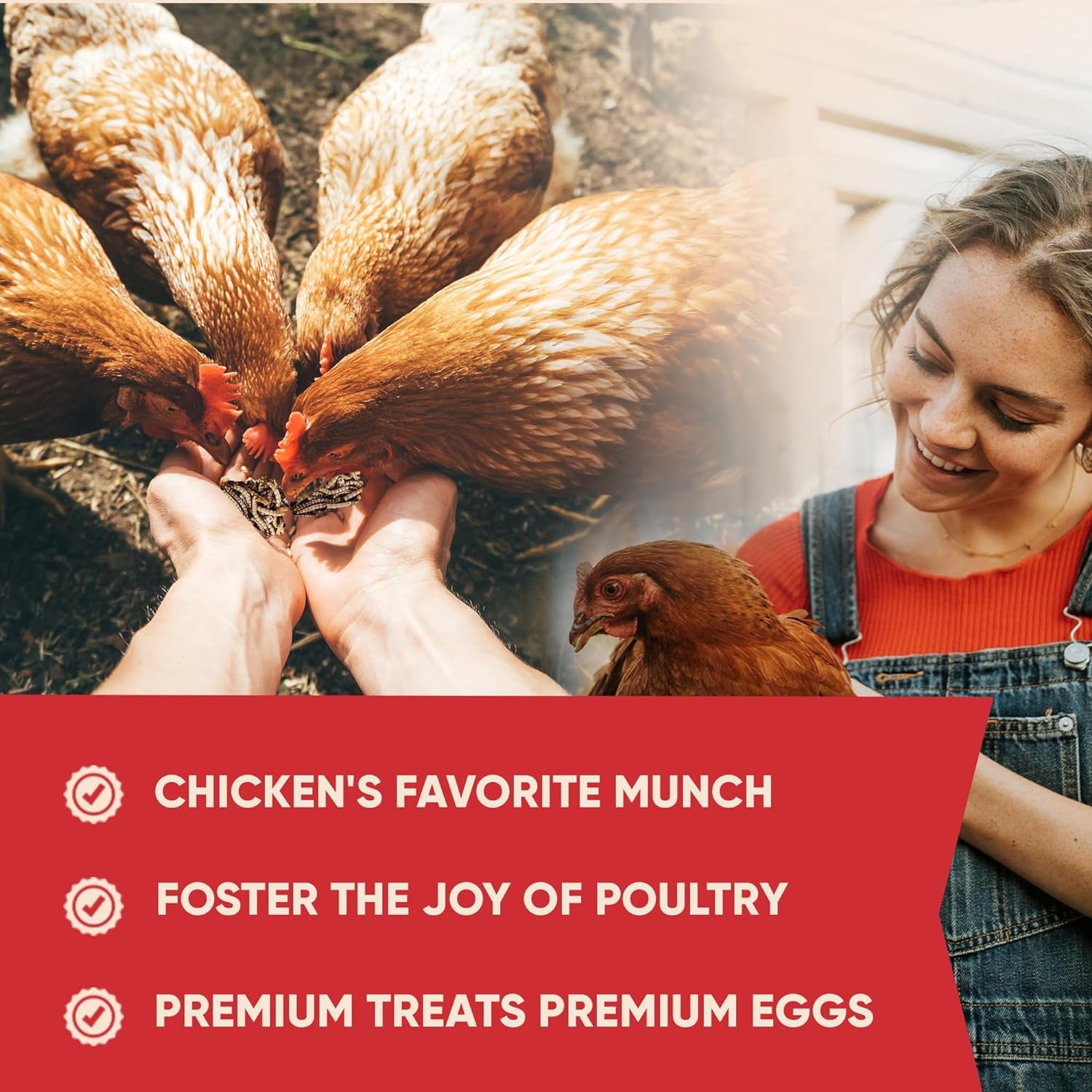 Dried Mealworms - Premium Chicken Treats, High Protein Mealworms for Chickens, Ducks, Laying Hens - Improves Egg Quality, Boosts Immune System & Feathers