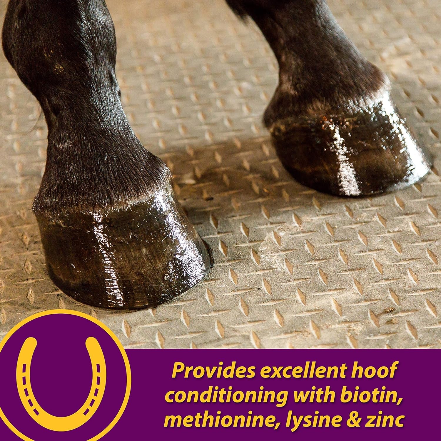 Farnam Horse Health Joint Combo Hoof & Coat, Convenient 3-In-1 Horse Joint Supplement Provides Complete Joint, Hoof and Coat Care