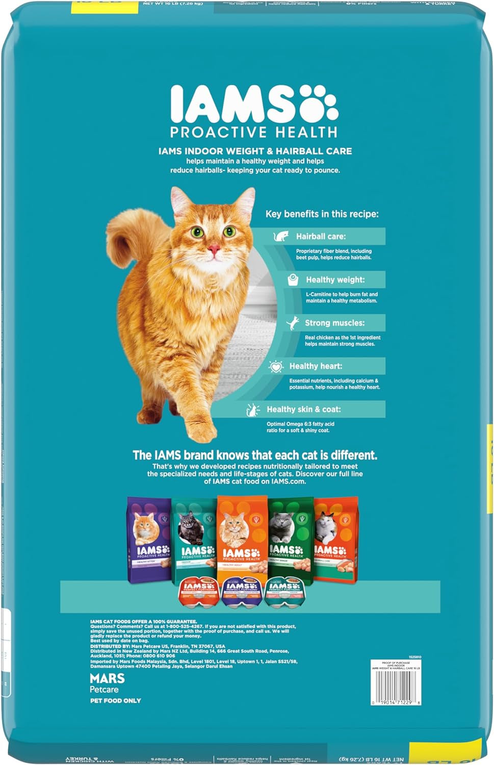 Proactive Health Indoor Weight & Hairball Care Adult Dry Cat Food with Real Chicken and Turkey, 16 Lb. Bag