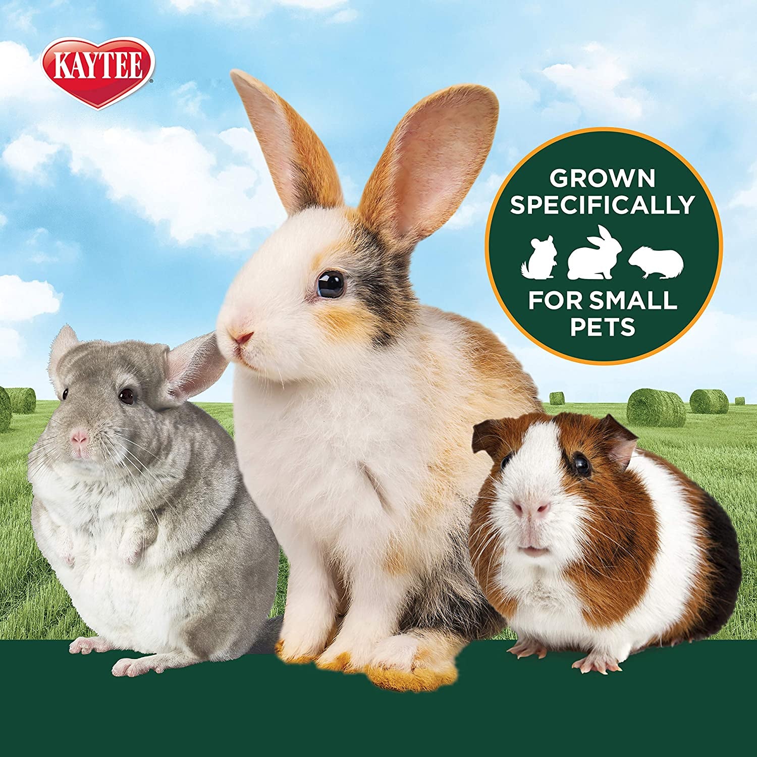 Kaytee 2Nd Cut Soft and Lush Timothy Hay for Pet Guinea Pigs, Rabbits & Other Small Animals