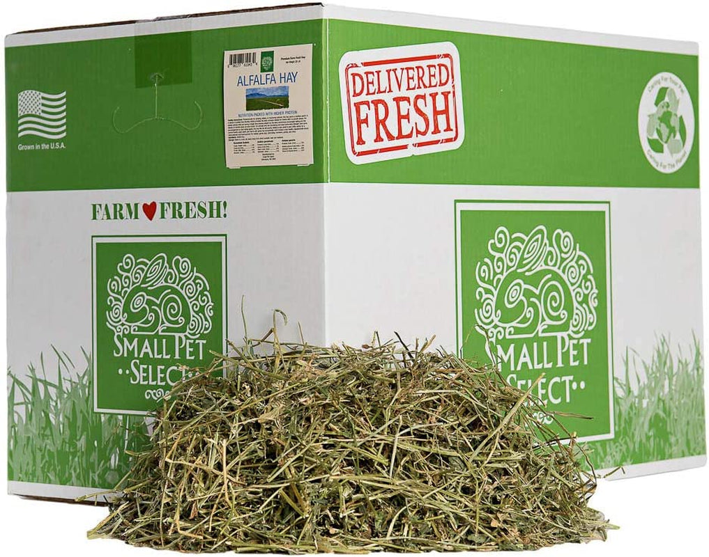 Small Pet Select Alfalfa Hay Pet Food for Young Rabbits, Guinea Pigs, Chinchillas, Tortoises and Other Small Animals, Easy to Store Box