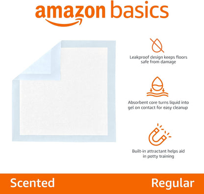 Amazon Basics Absorbent Dog and Puppy Pee Pads with 5-Layer Leak-Proof Design and Quick-Dry Surface for Potty Training, Regular, 22 X 22 Inch, Scented