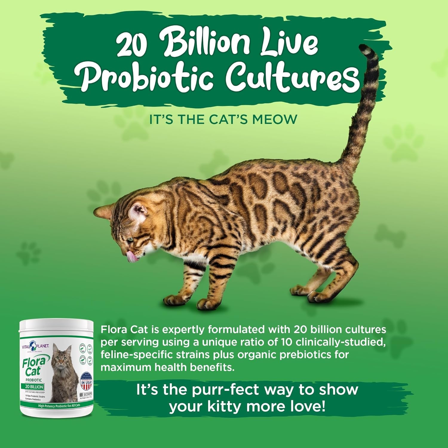 Vital Planet - Flora Cat Probiotic Powder Supplement with 20 Billion Cultures and 10 Diverse Strains High Potency Probiotics for All Cats for Feline Digestive and Immune Support