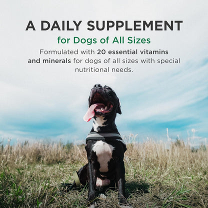 Pet-Tabs plus Multivitamin and Mineral Supplement for Dogs with Special Nutritional Needs, Chewable Tablet