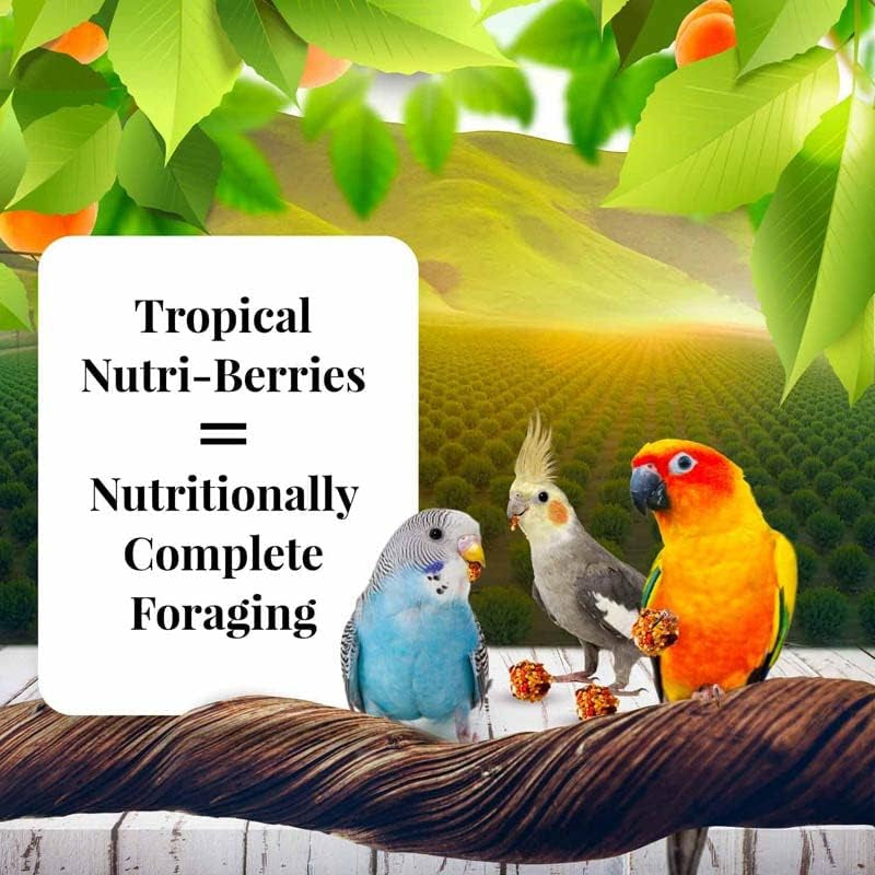 LAFEBER'S Sunny Orchard Nutri-Berries Pet Bird Food, Made with Non-GMO and Human-Grade Ingredients, for Cockatiels Conures Parakeets (Budgies) Lovebirds