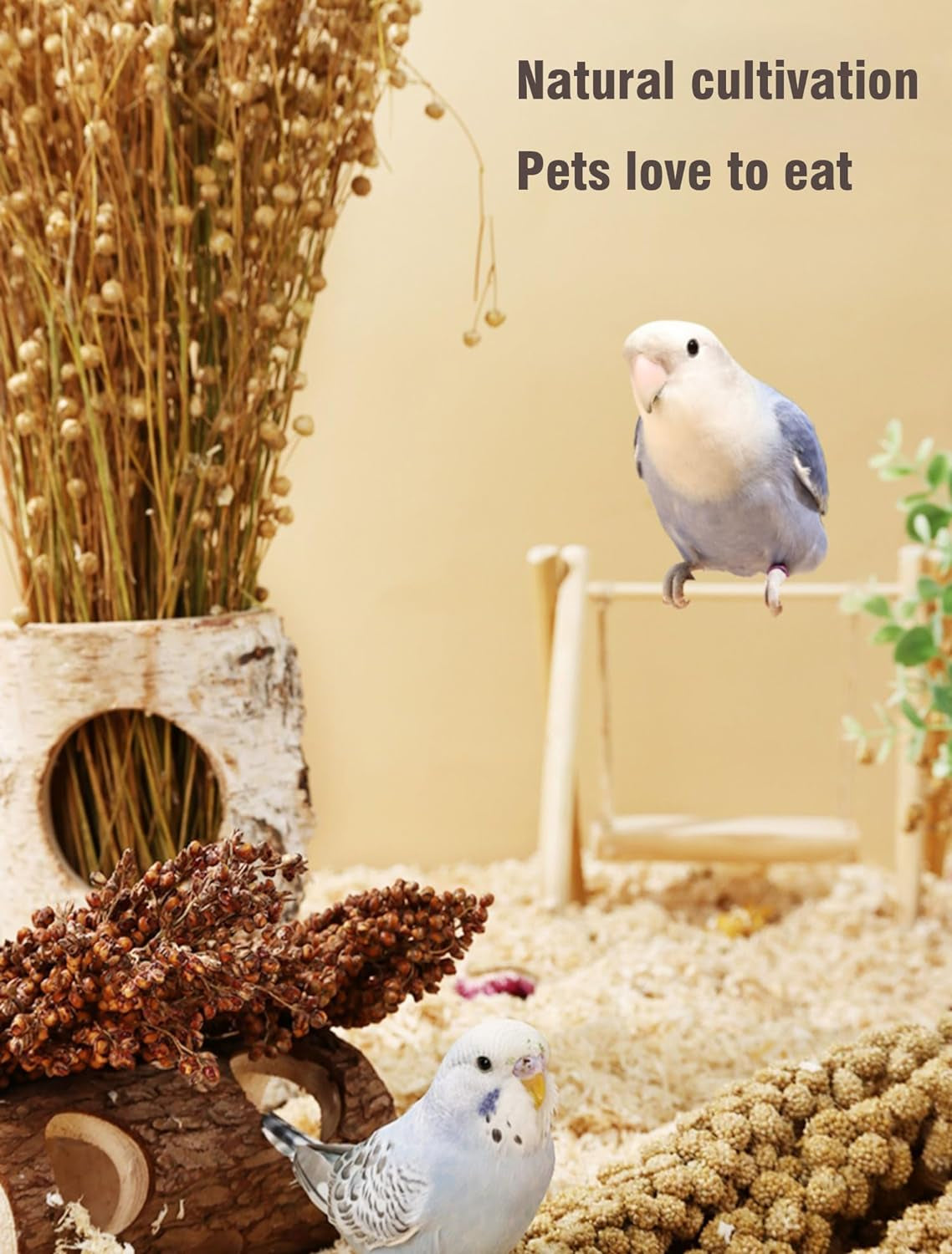 Voulosimi Special Spray Millet for Birds -Gmo-Free,Sun Dried Spray Millet with Cuttlefish Bone for All Pet Birds, Parakeets,Finches,Cockatiels,Budgie