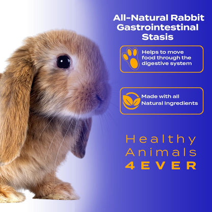 Healthy Animals 4Ever All-Natural Rabbit Gastrointestinal Stasis Treatment, Effective Homeopathic Support for GI Stasis - Promotes Healthy Digestion Rabbit Digestive Health Tablets, 300 Count