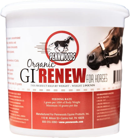 GI Renew, Probiotics for Equine, Immune and Appetite Stimulation, Prebiotics, Digestive Enzymes, Horse Supplement Providing Ulcer Relief and Organic Toxin Binder