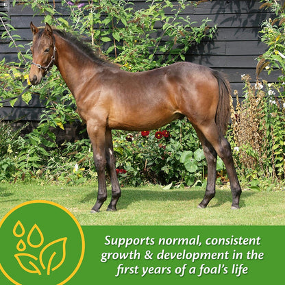 Farnam Grow Colt Supplement for Growth & Development, Supports Normal, Consistent Growth in First Years of Foal'S Life