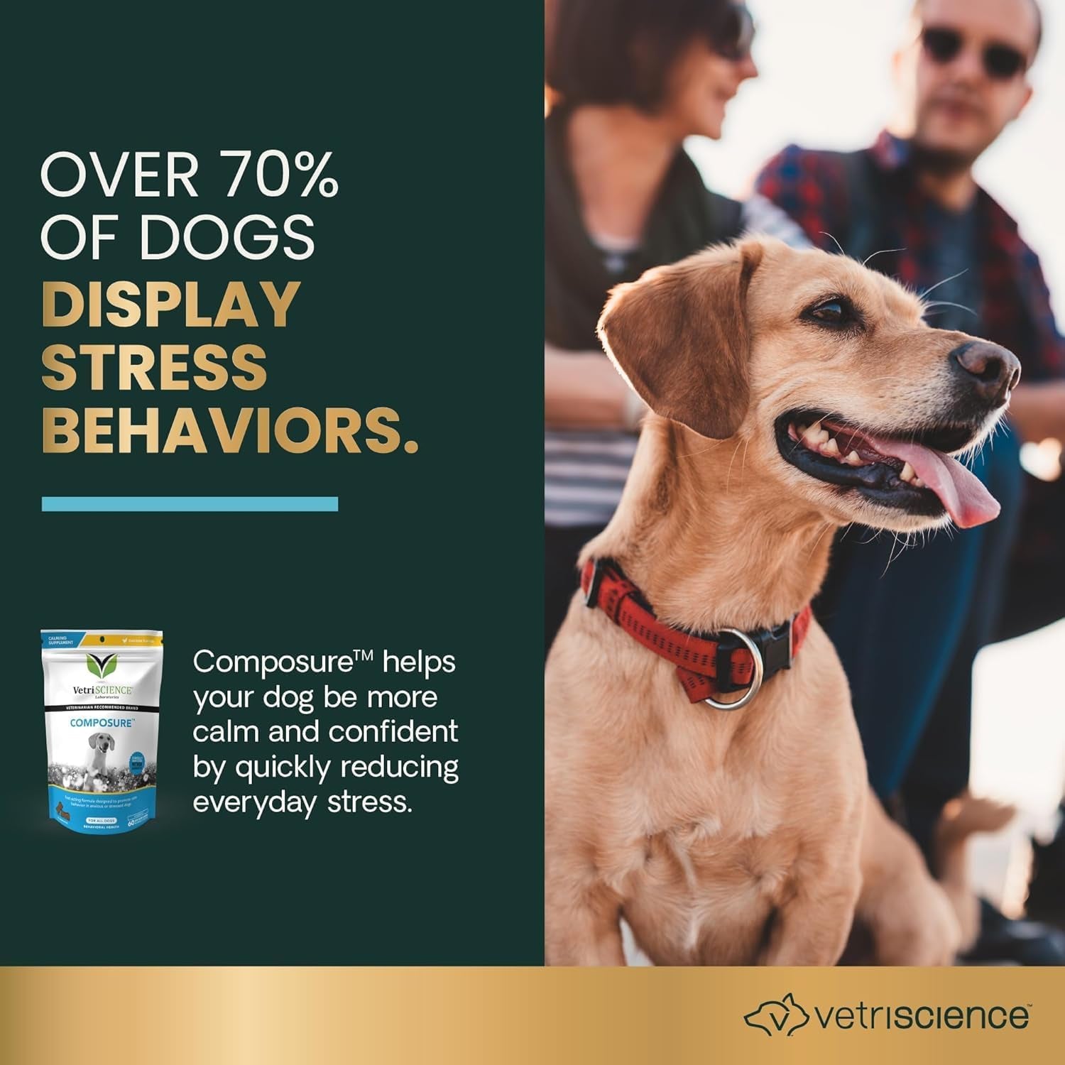 Vetriscience Composure Calming Chews for Dogs - Clinically Proven Dog Anxiety Relief Supplement with Colostrum, L-Theanine & Vitamin B1 for Stress, Storms, Separation & More