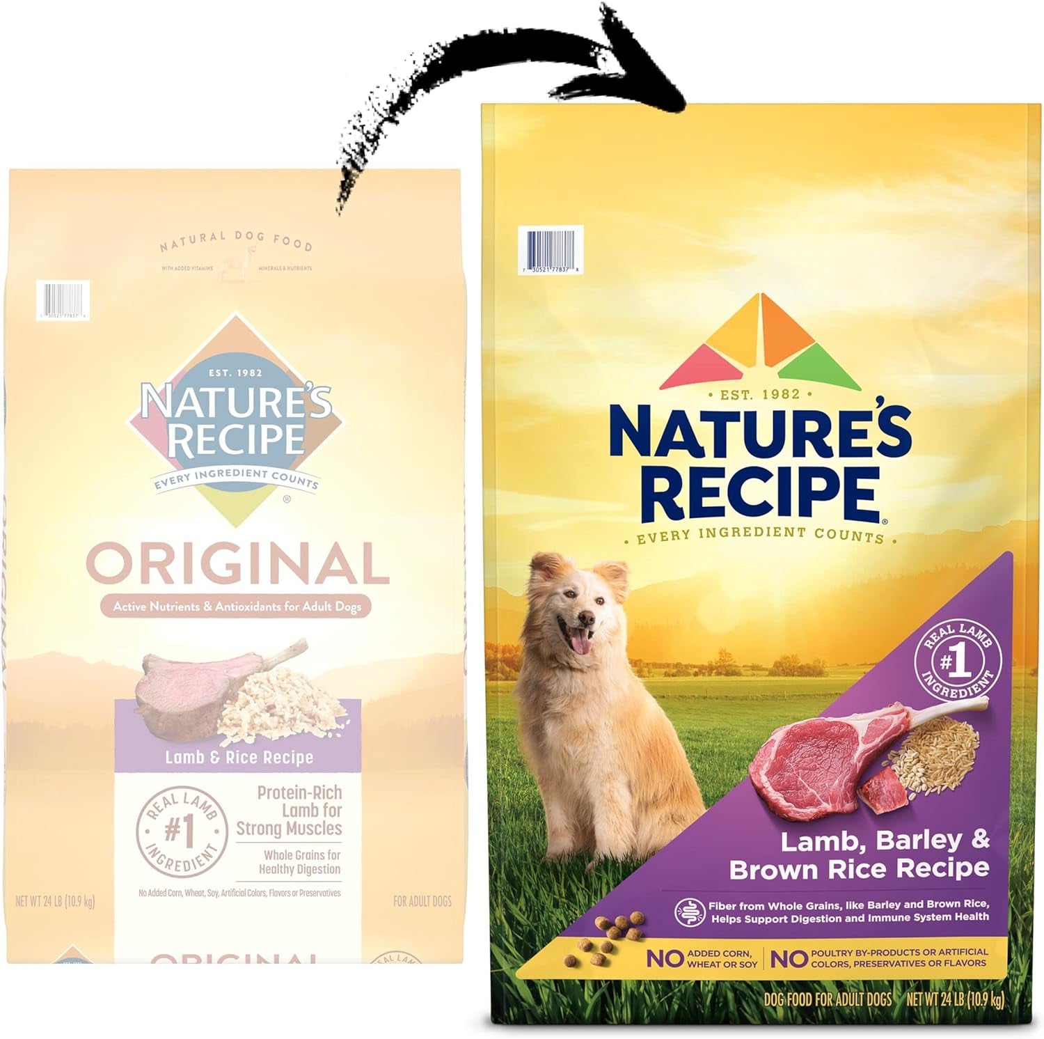 Nature′S Recipe, Barley & Brown Rice Recipe Dry Dog Food