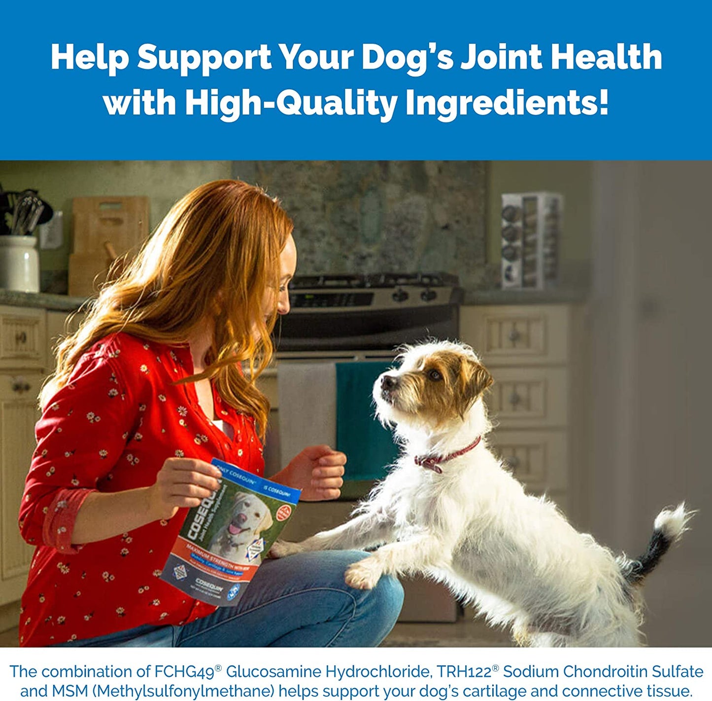 Laboratories Maximum Strength Joint Health Supplement for Dogs - with Glucosamine, Chondroitin, and MSM, 132 Chewable Tablets