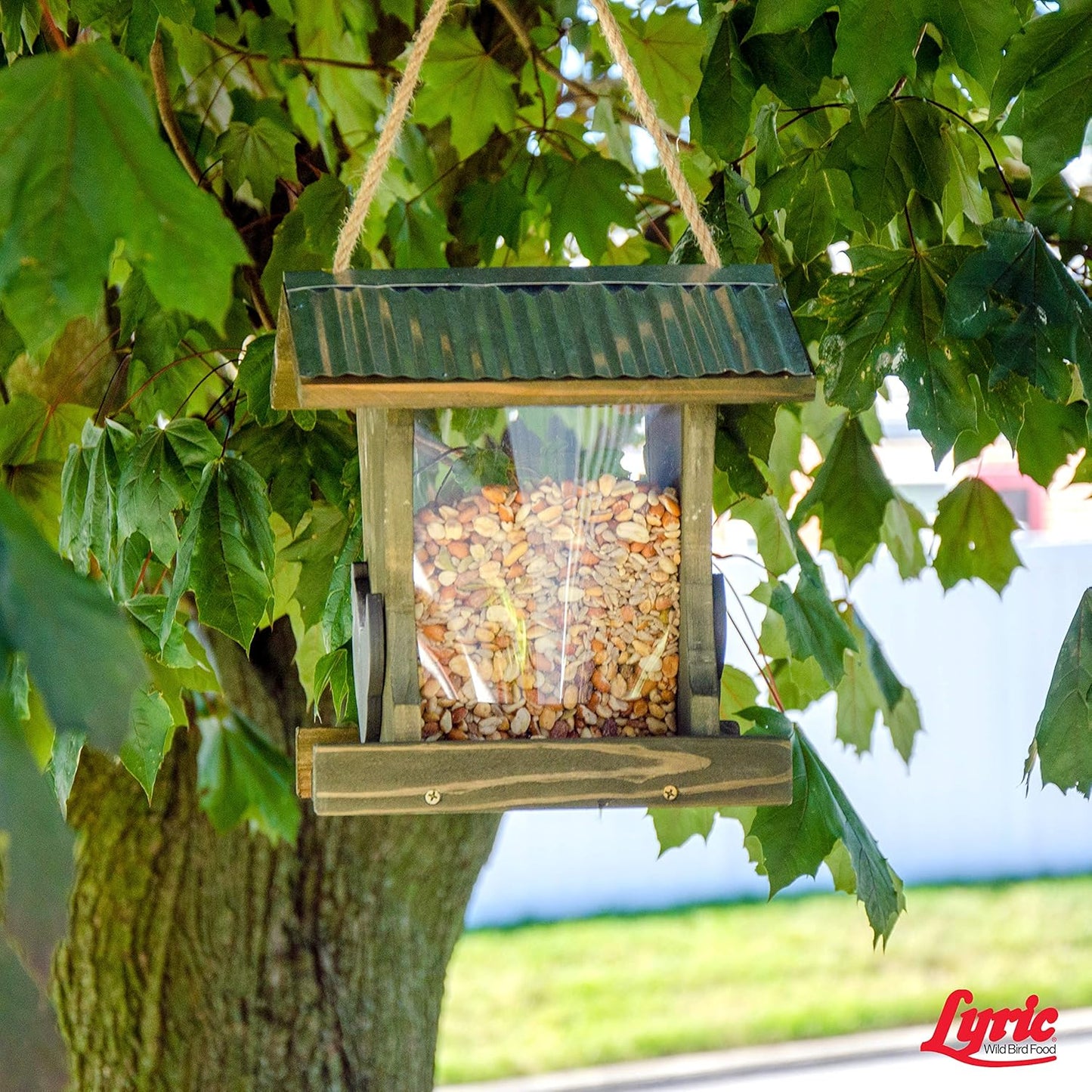 Lyric Delite Wild Bird Seed - No Waste Bird Food Mix with Shell-Free Nuts & Seeds - Attracts Buntings, Chickadees & Finches