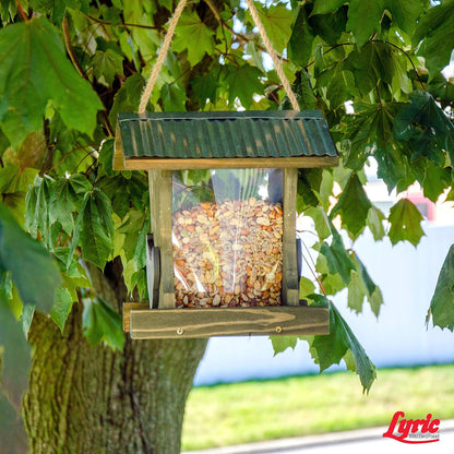 Lyric Delite Wild Bird Seed - No Waste Bird Food Mix with Shell-Free Nuts & Seeds - Attracts Buntings, Chickadees & Finches