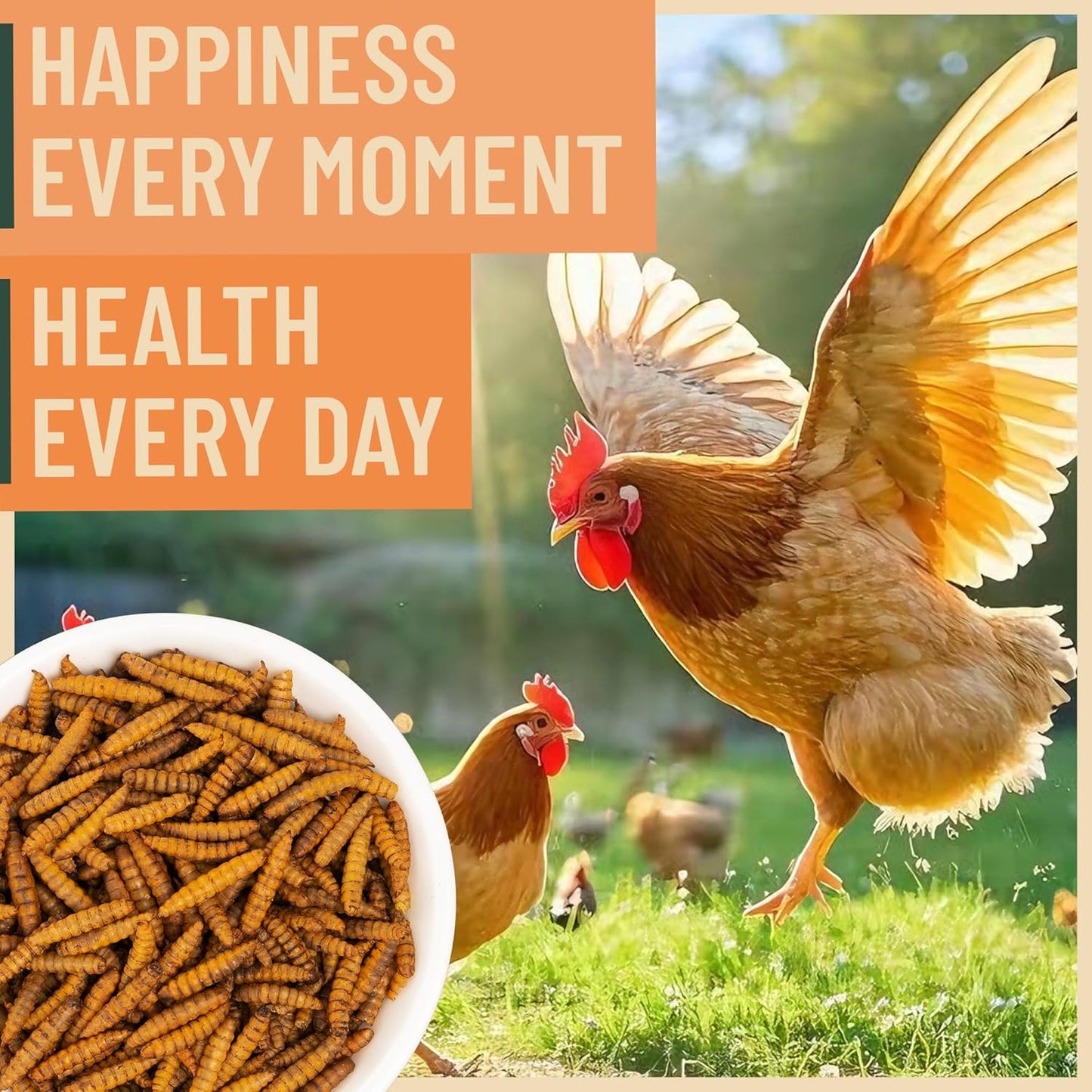 Dried Black Soldier Fly Larvae for Chicken - 85X More Calcium Grubs than Mealworms for Strong Eggshells & Healthy Growth - High Proteinfor Chickens, Birds, Ducks, Geese & Pets