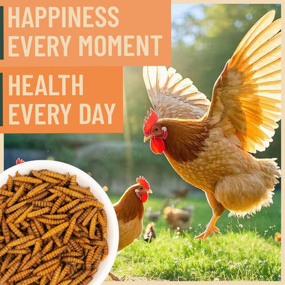 Dried Black Soldier Fly Larvae for Chicken - 85X More Calcium Grubs than Mealworms for Strong Eggshells & Healthy Growth - High Proteinfor Chickens, Birds, Ducks, Geese & Pets