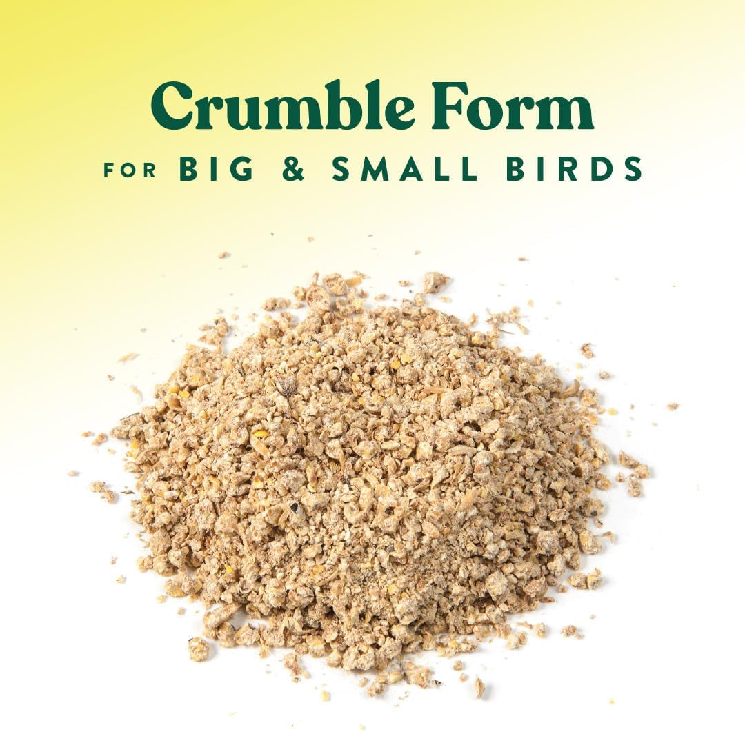 Manna Pro All Flock Crumbles, 16% Protein Level, Complete Feed for Chickens, Ducks, Geese, Turkeys and Gamebirds, Probiotics to Support Digestion, Crumbled Form for Easy Feeding