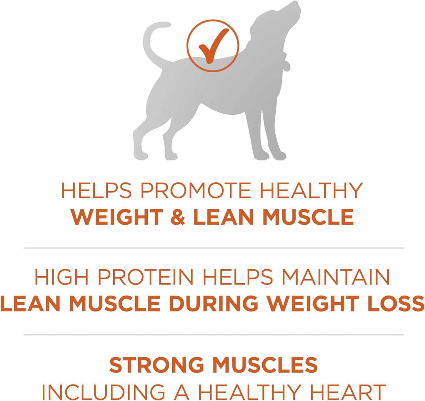 Purina ONE plus Healthy Weight High - Protein Dog Food Dry Formula