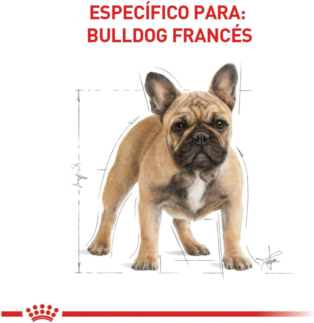 Royal Canin Breed Health Nutrition French Bulldog Adult - Dry Dog Food