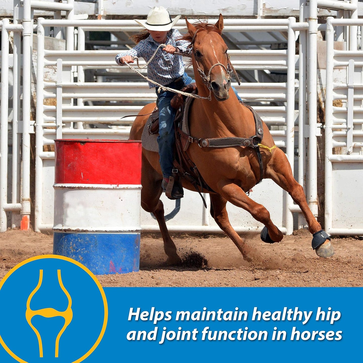 Farnam Fluidflex Liquid Joint Supplement for Horses, Helps Maintain Healthy Hip & Joint Function