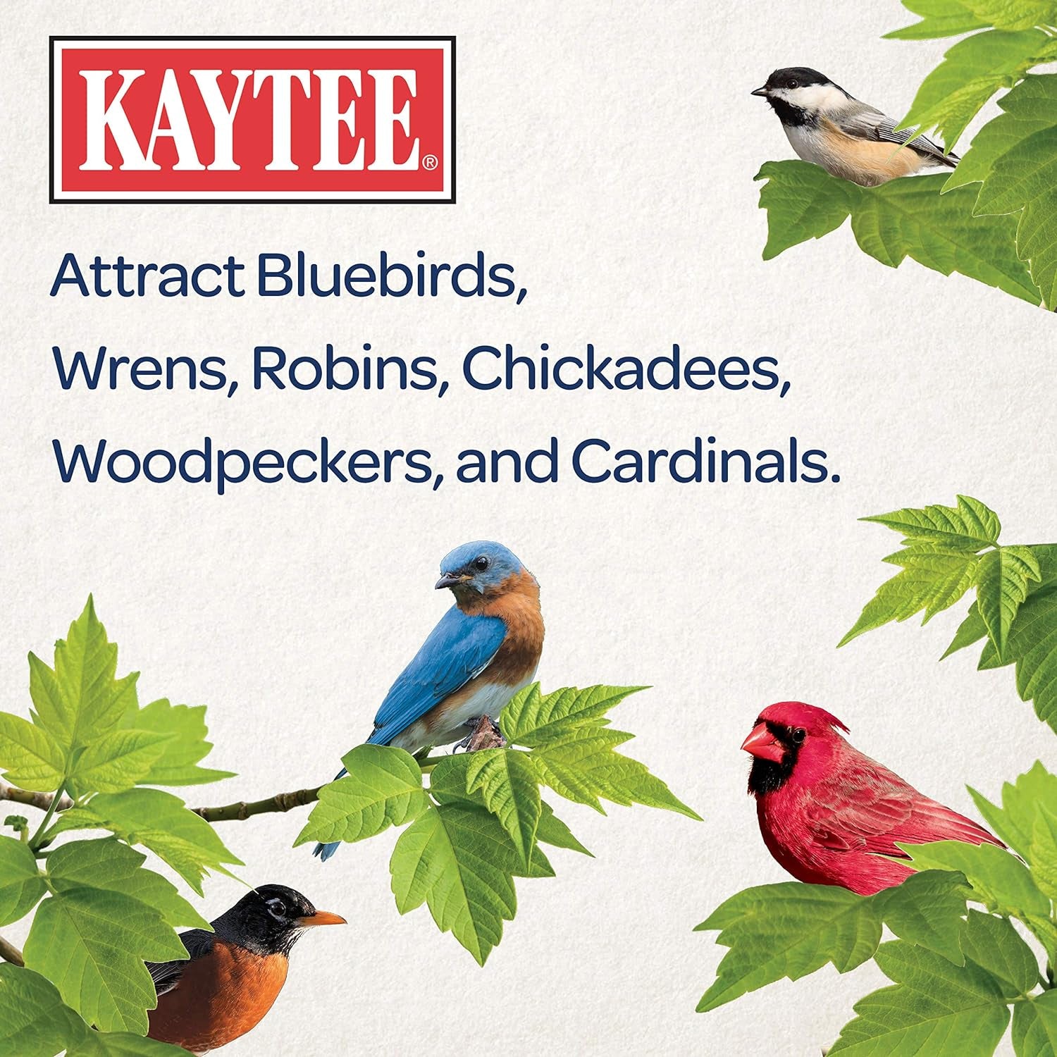 Kaytee Wild Bird Food Mealworms for Bluebirds, Wrens, Robins, Chickadees, Woodpeckers, Cardinals & Chickens