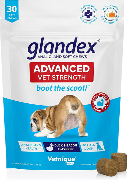 Glandex Anal Gland Soft Chew Treats with Pumpkin for Dogs Digestive Enzymes, Probiotics Fiber Supplement for Dogs Boot the Scoot