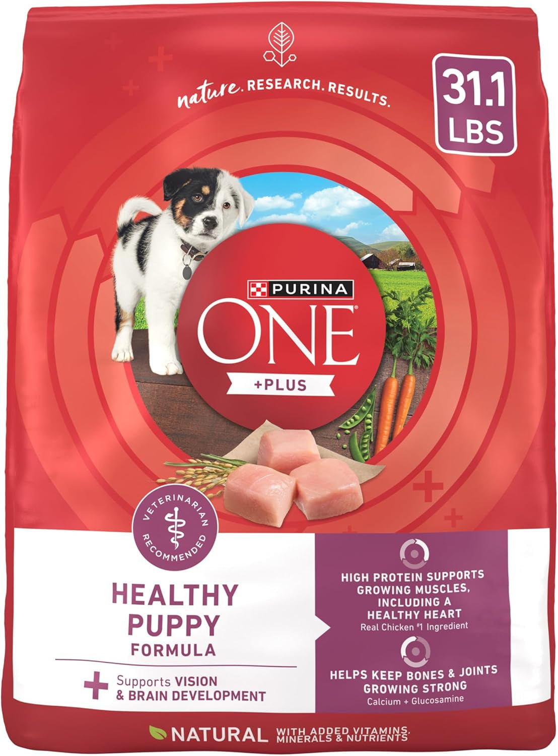 Purina ONE plus Healthy Puppy Formula High Protein Natural Dry Puppy Food with Added Vitamins, Minerals and Nutrients