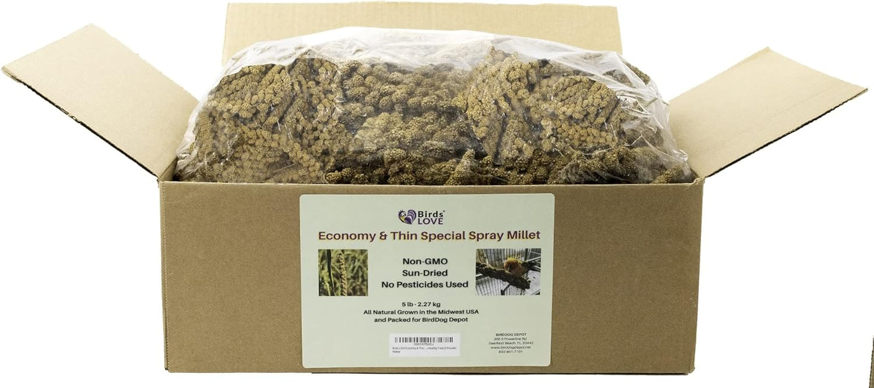 Birds LOVE Economy & Thin Special Spray Millet Gmo-Free (No Stems Only Edible Tops) for Birds Cockatiel Lovebird Parakeet Finch Canary All Parrots Healthy Treat