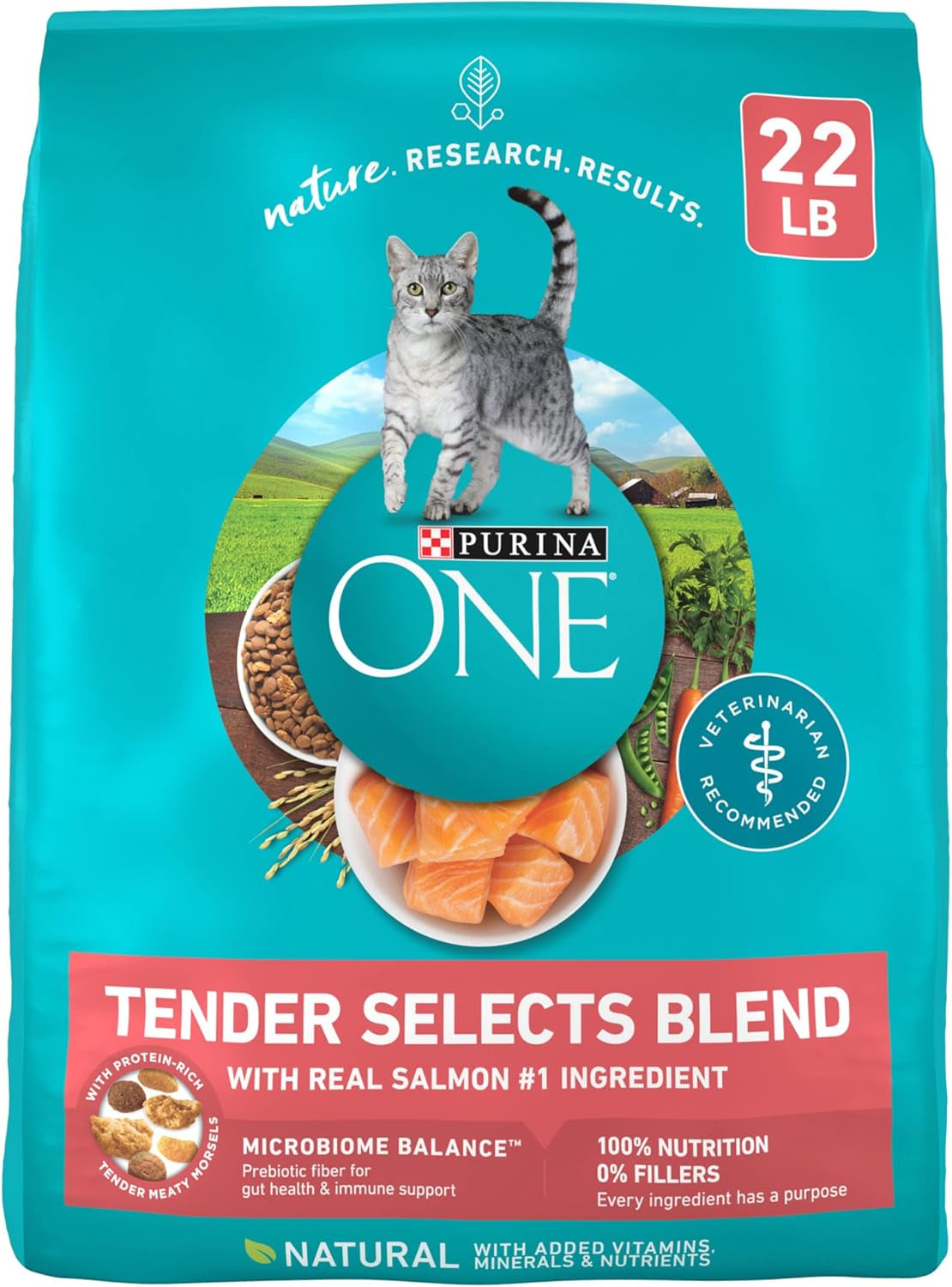 Purina ONE Natural Dry Cat Food, Tender Selects Blend