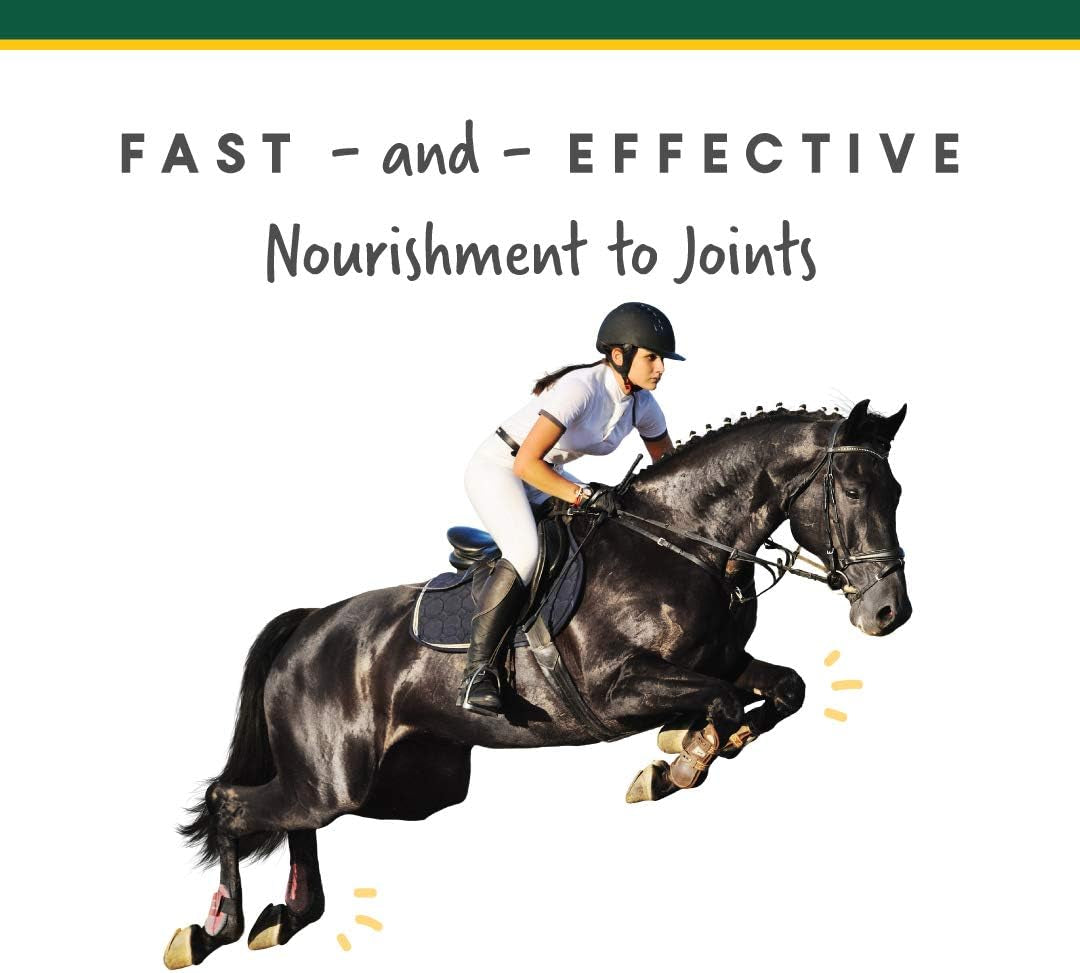 Manna Pro Corta-Flx Equine Joint Supplement, Horse Supplement for Healthy Joints, Quick & Effective Nourishment to Joints Formulated with Vitamins and Minerals