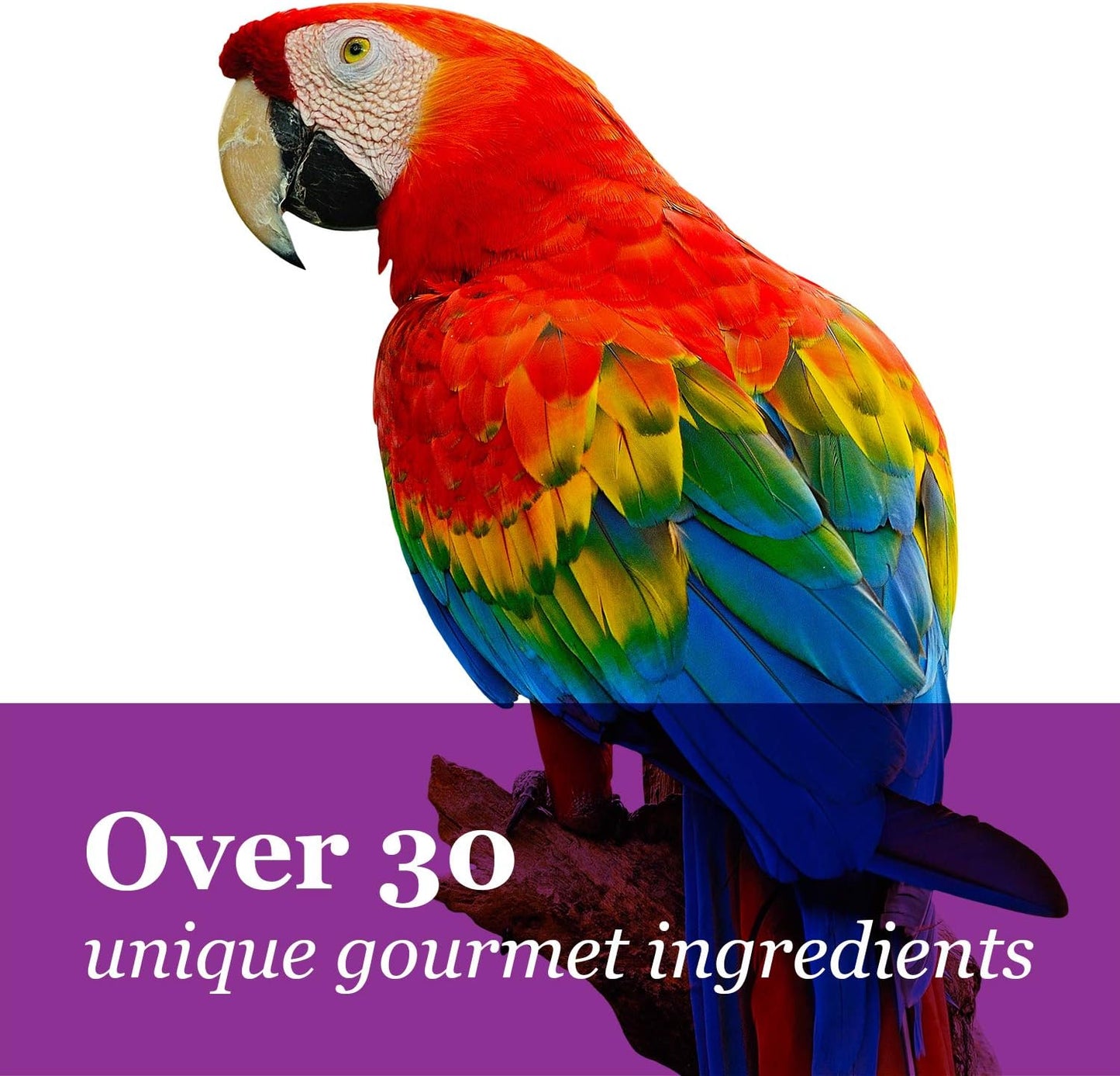 F.M. Brown'S Tropical Carnival Gourmet Large Hookbill Food for Parrots, Cockatoos and Macaws over 13", Vitamin-Nutrient Fortified Daily Diet