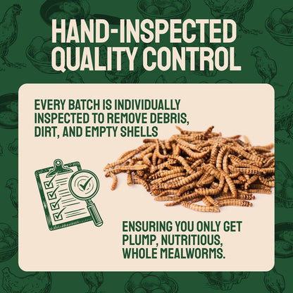 Dried Mealworms - Premium Organic Non-Gmo Dried Mealworms for Chickens - High Protein Chicken Feed Meal Worms for Wild Birds & Chicken Treats for Laying Hens