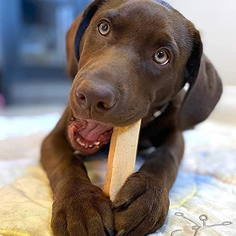 Himalayan Dog Chew Original Yak Cheese Dog Chew, Gluten Free, Healthy Dog Treats, Grain & Lactose Free 100% Natural, Long Lasting Dog Chews for Dogs under 65 Lbs