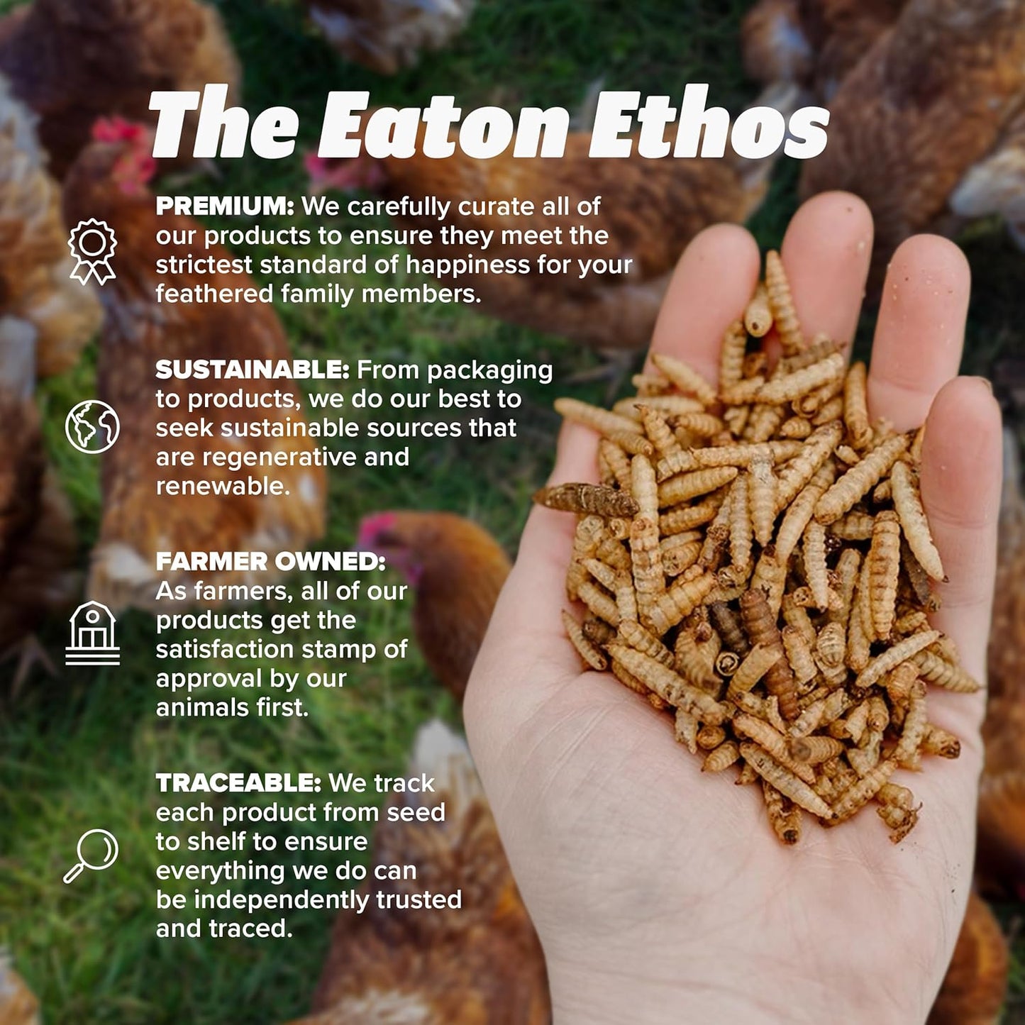 EATON PET and PASTURE Premium Grubs, USA Grown Dried Black Soldier Fly Larvae, High Calcium Treat for Chickens, Ducks, Wild Birds