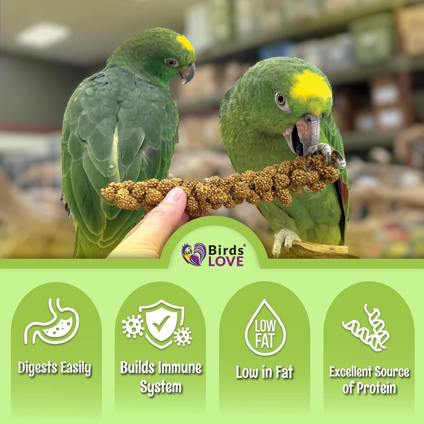 Birds LOVE French Kissed Spray Millet for Birds - Parakeets, Cockatiels, Lovebirds, Finches, Budgies, Canaries, Cockatoos - Natural & Healthy Bird Millet - Parakeet Food & Treats for All Parrots 2Lbs