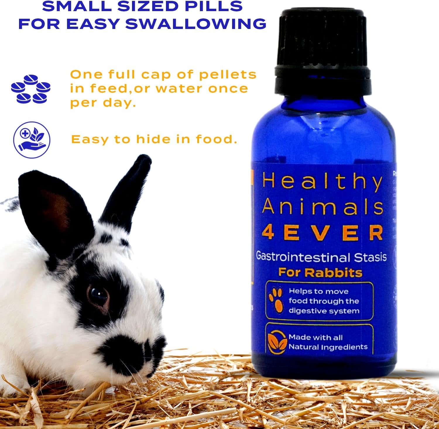 Healthy Animals 4Ever All-Natural Rabbit Gastrointestinal Stasis Treatment, Effective Homeopathic Support for GI Stasis - Promotes Healthy Digestion Rabbit Digestive Health Tablets, 300 Count