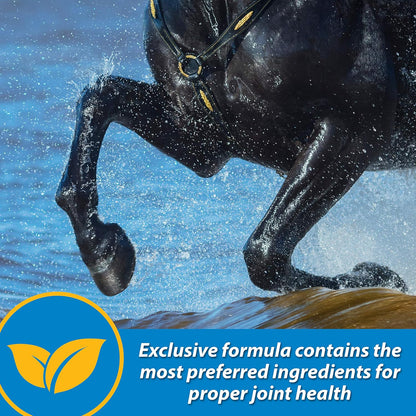 Farnam Fluidflex Liquid Joint Supplement for Horses, Helps Maintain Healthy Hip & Joint Function