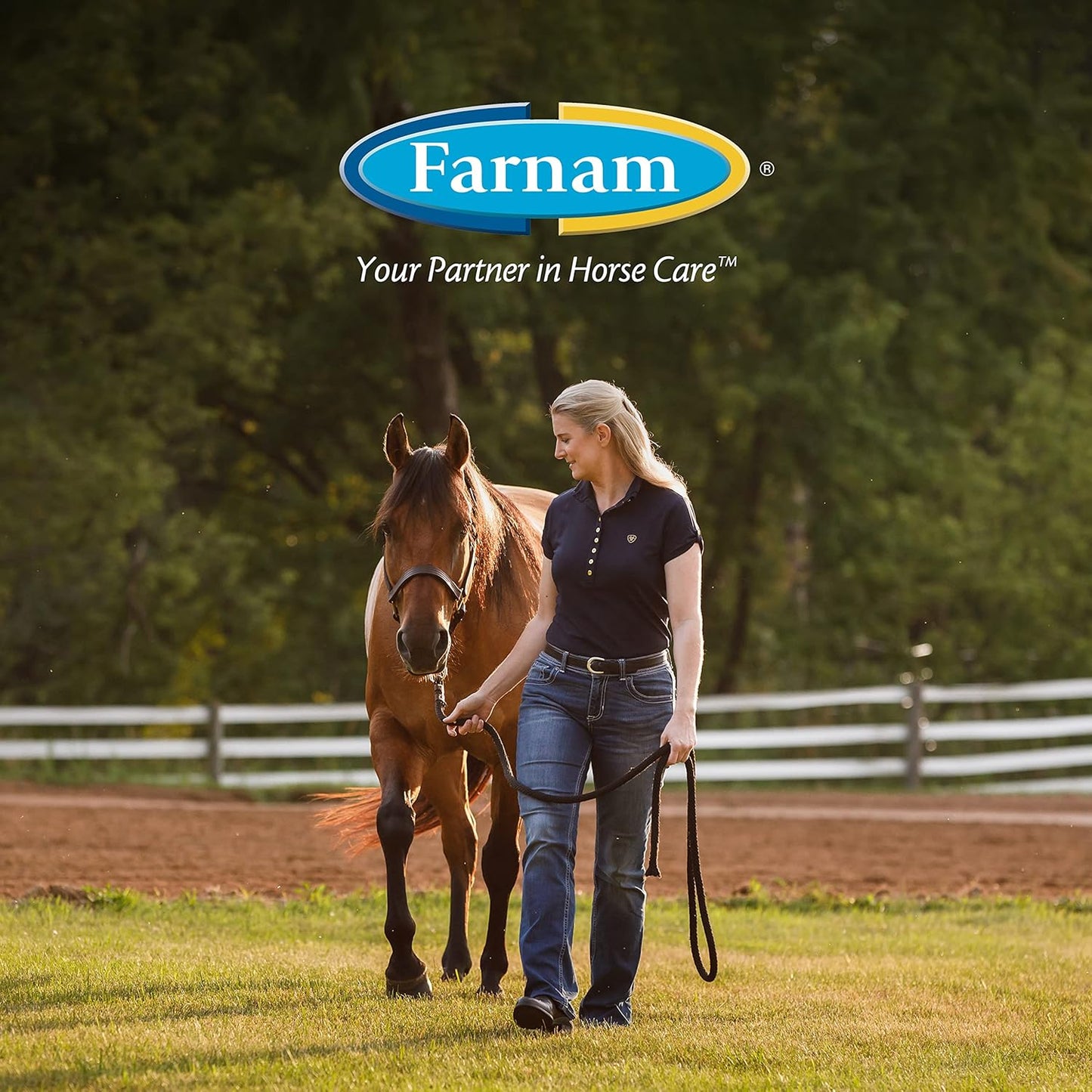 Farnam Endure Sweat-Resistant Horse Fly Spray, Kills, Repels, Protects, 128 Ounces, Easy Pour Gallon Refill