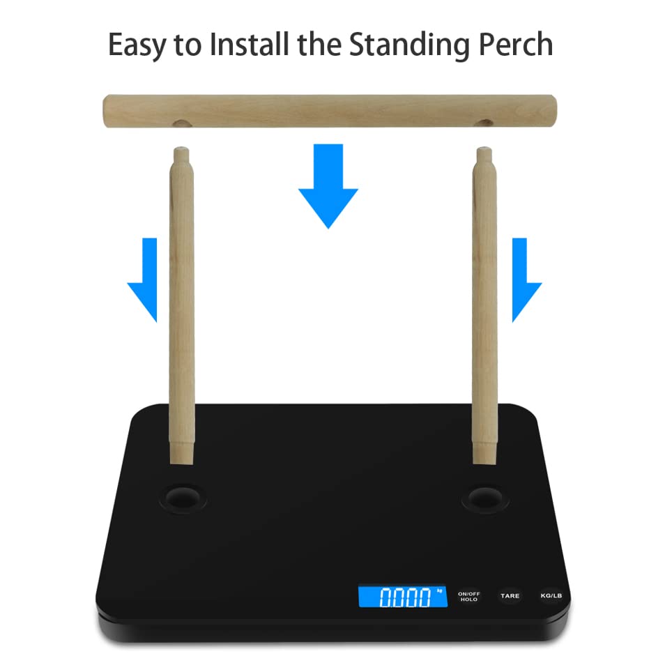 Pet Scale for Birds, Birds Weight Scale for Parrots, High Accuracy 1 Gram Scale, Easy Install Bird Training Stand and Perch, Designed for Middle Size Birds below 20Kgs