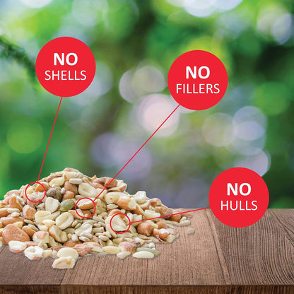 Lyric Delite Wild Bird Seed - No Waste Bird Food Mix with Shell-Free Nuts & Seeds - Attracts Buntings, Chickadees & Finches