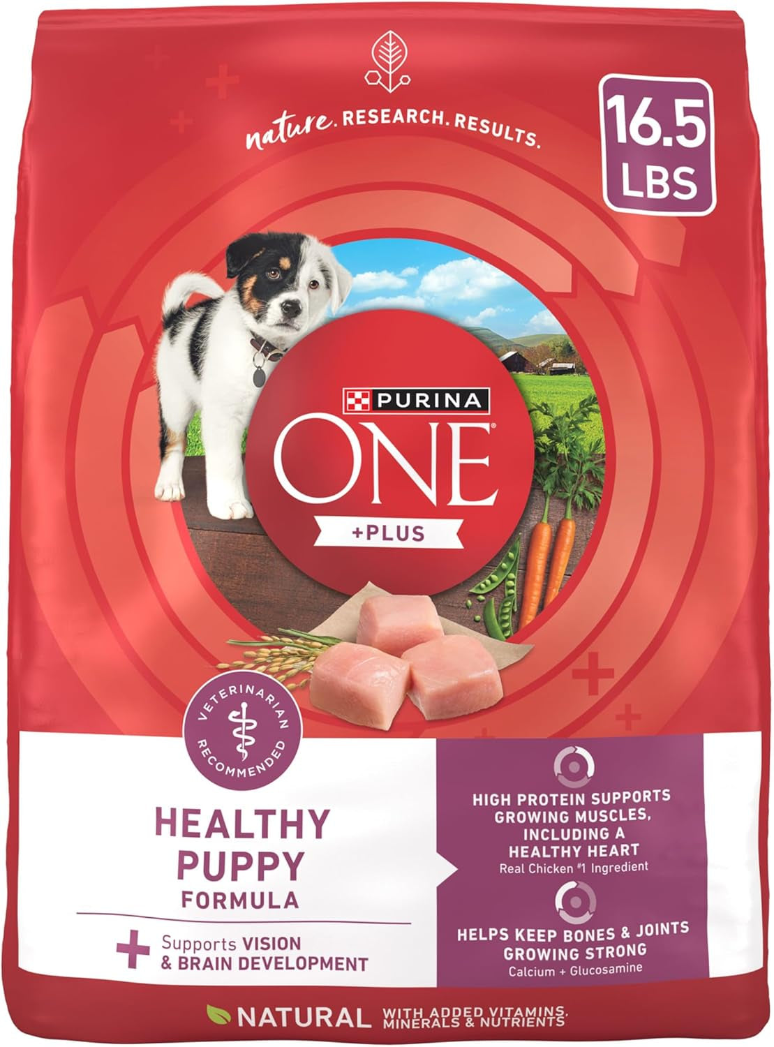 Purina ONE plus Healthy Puppy Formula High Protein Natural Dry Puppy Food with Added Vitamins, Minerals and Nutrients